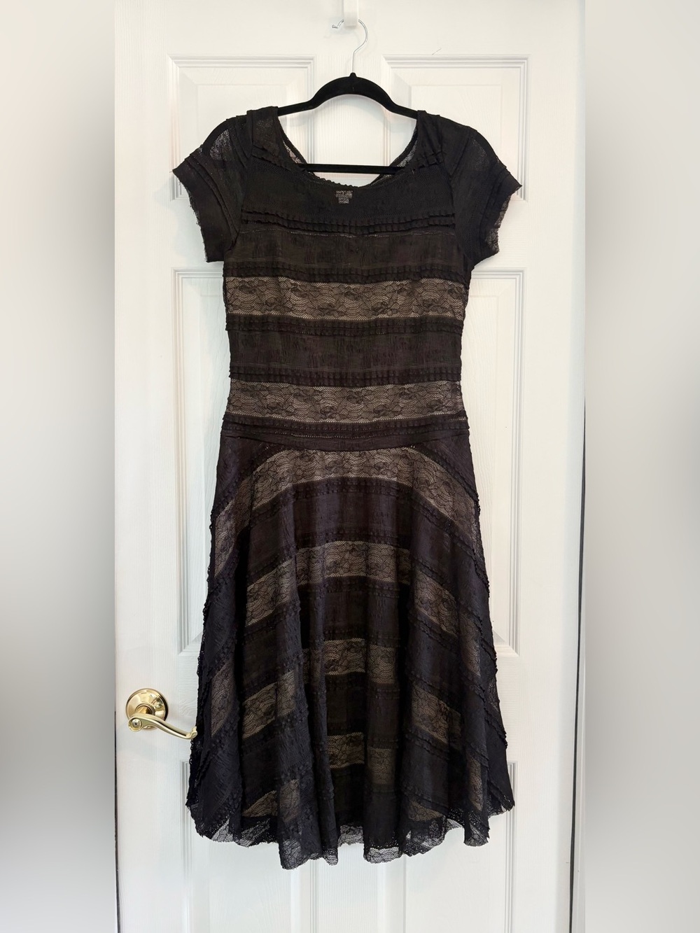 SANGRIA BLACK LACE EVENING 6 NUDE UNDERLAY SUBTLE STRIPE SHORT SLEEVE COCKTAIL